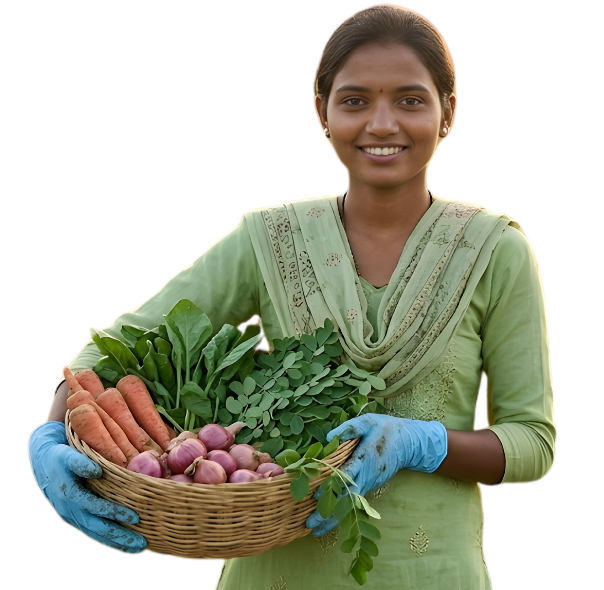 Siddhisha Agro products